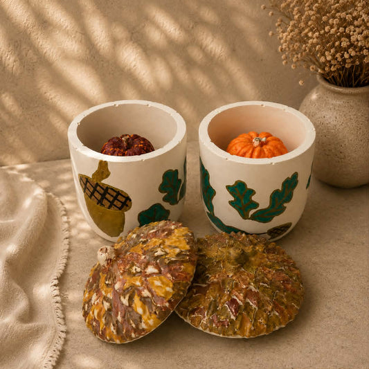 Autumn Acorn